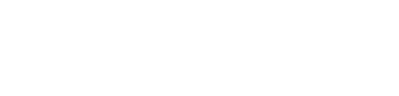 こだわりの春巻きの皮-Detail-